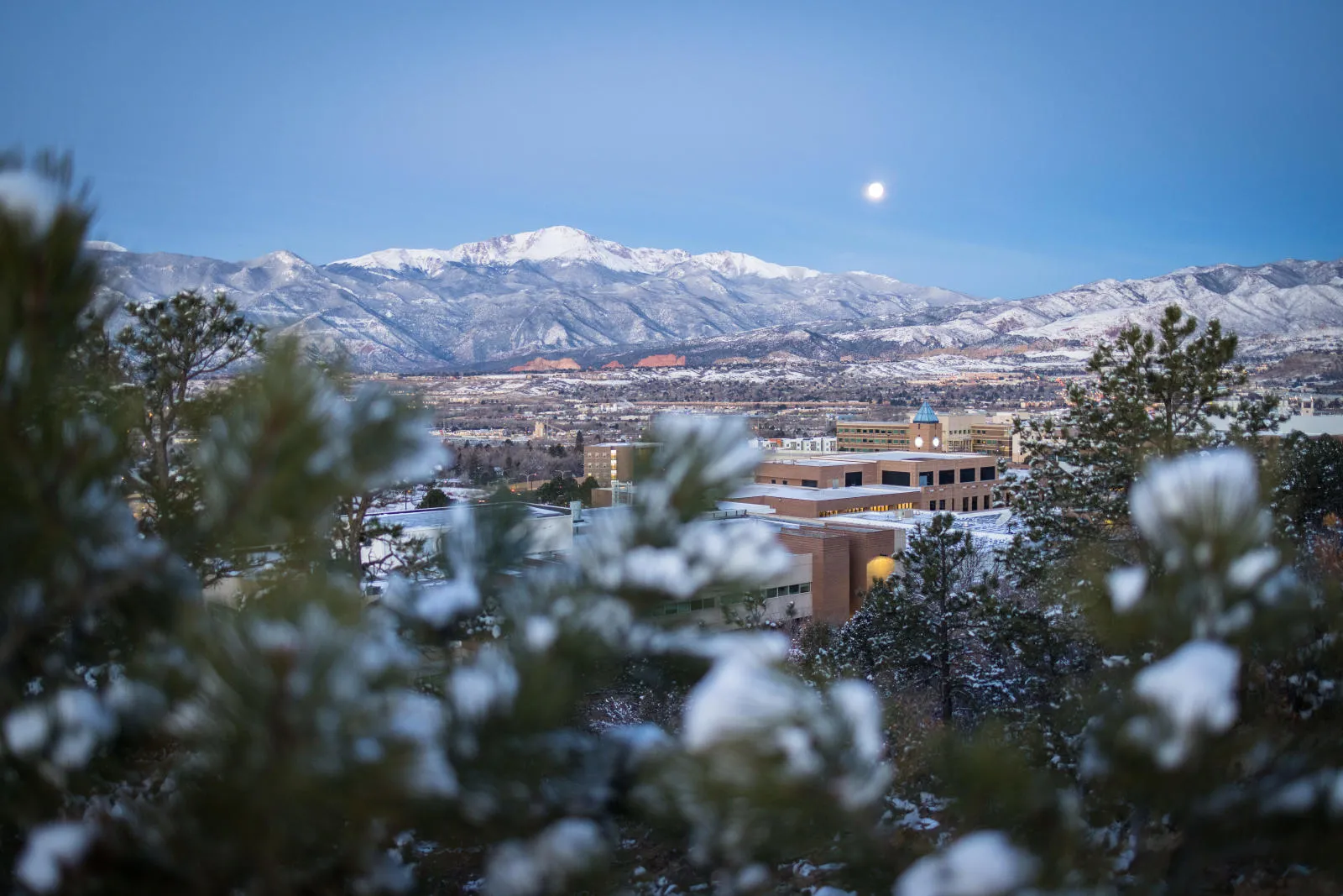 Landscape view of campus 