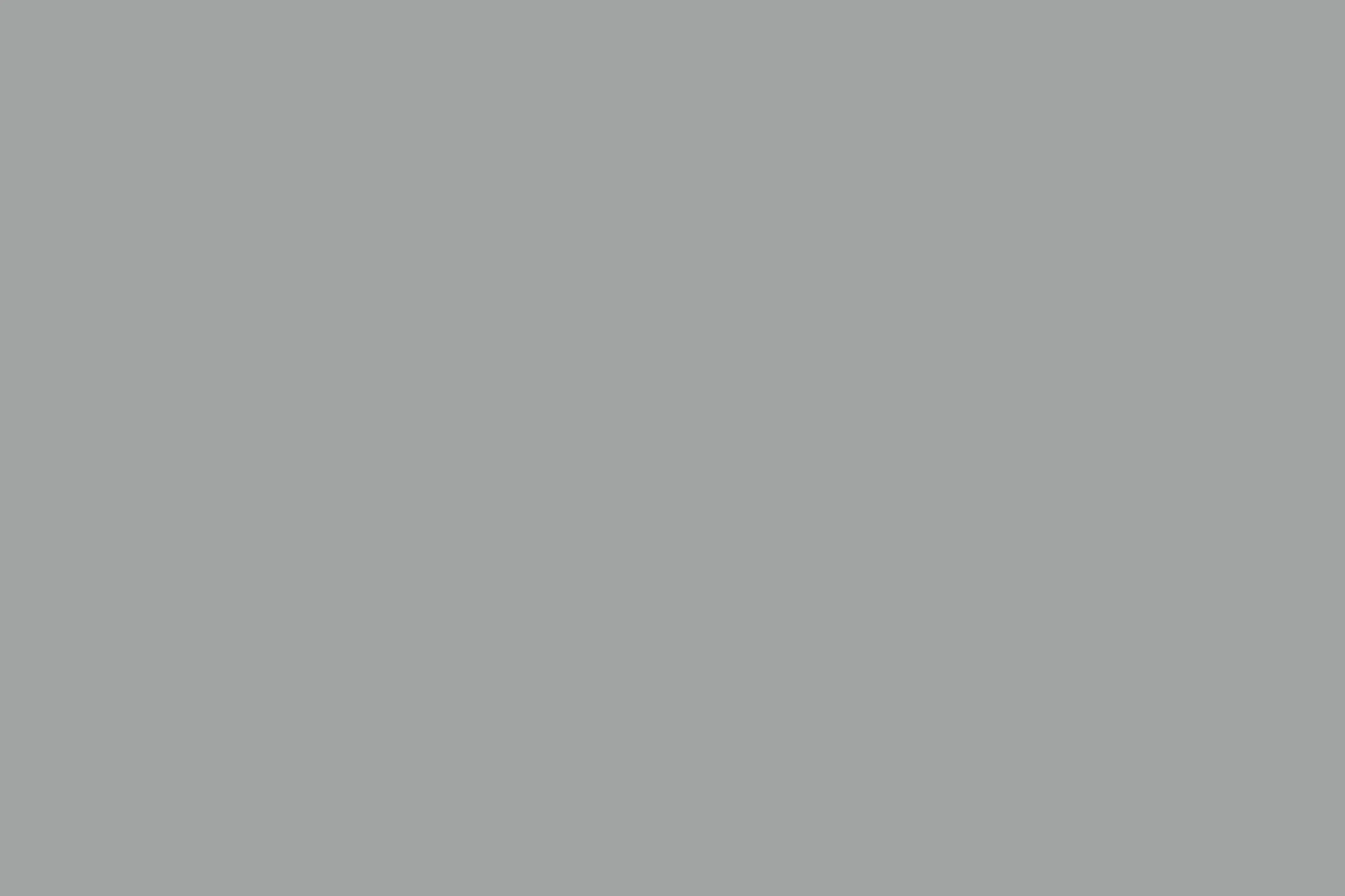 light gray background