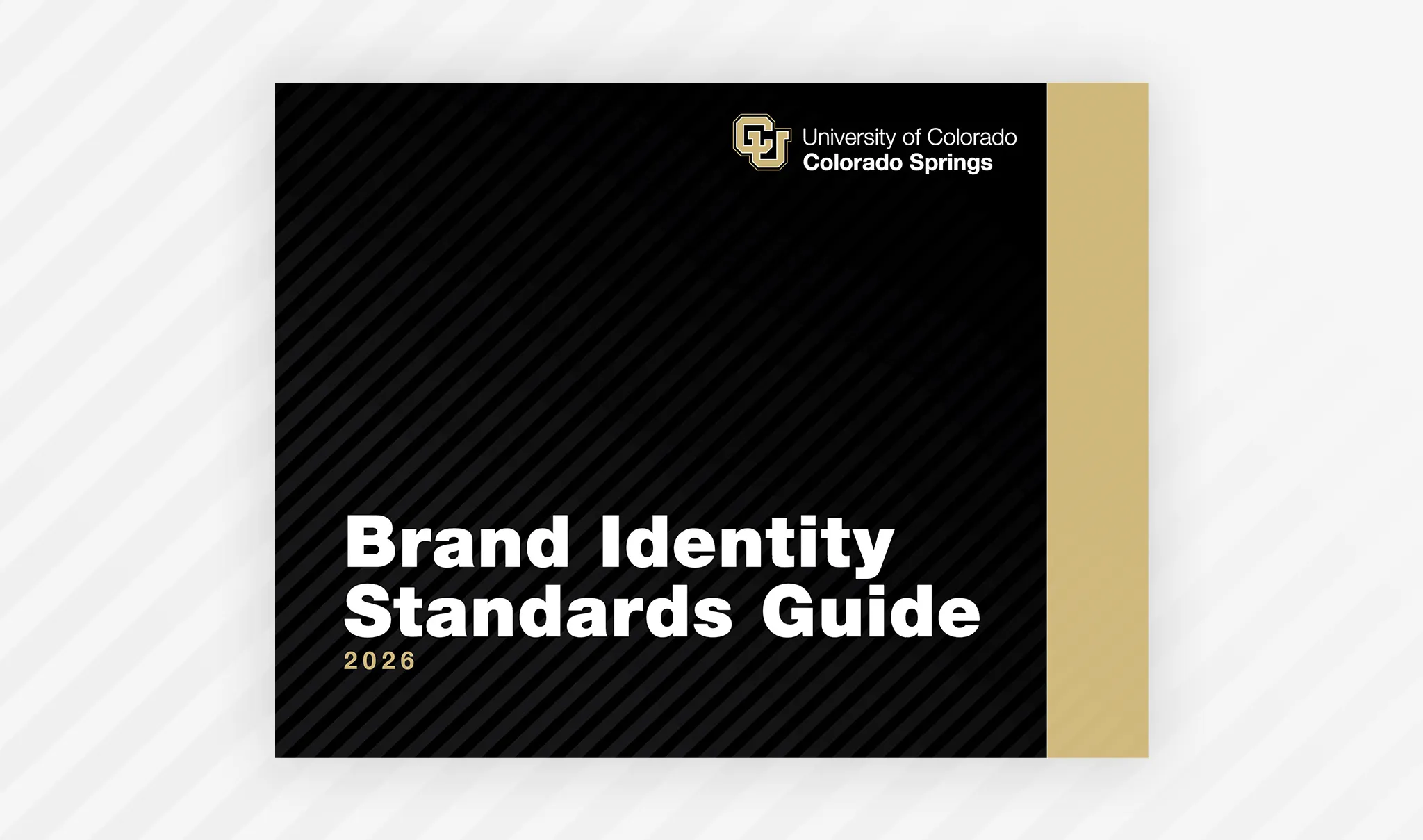 Screenshot of Brand Identity Standards Guide cover