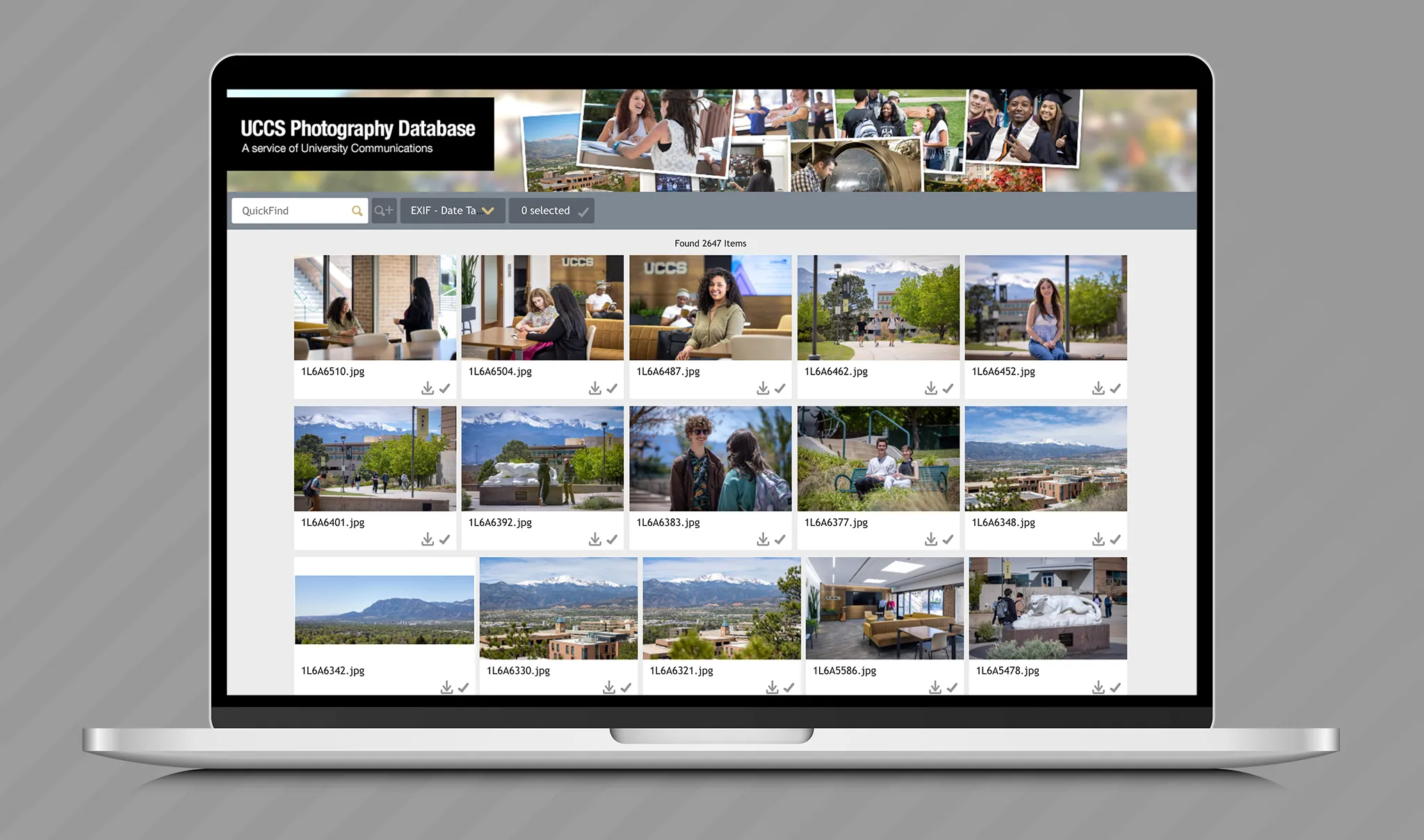 Screenshot of photo database on a laptop